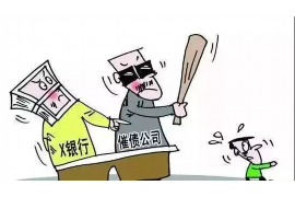 杨光用假板砖去要账:一场另类的讨债奇招 杨光用假板砖去要账:一场另类的讨债奇招